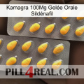 Kamagra 100Mg Gelée Orale Sildénafil cialis2